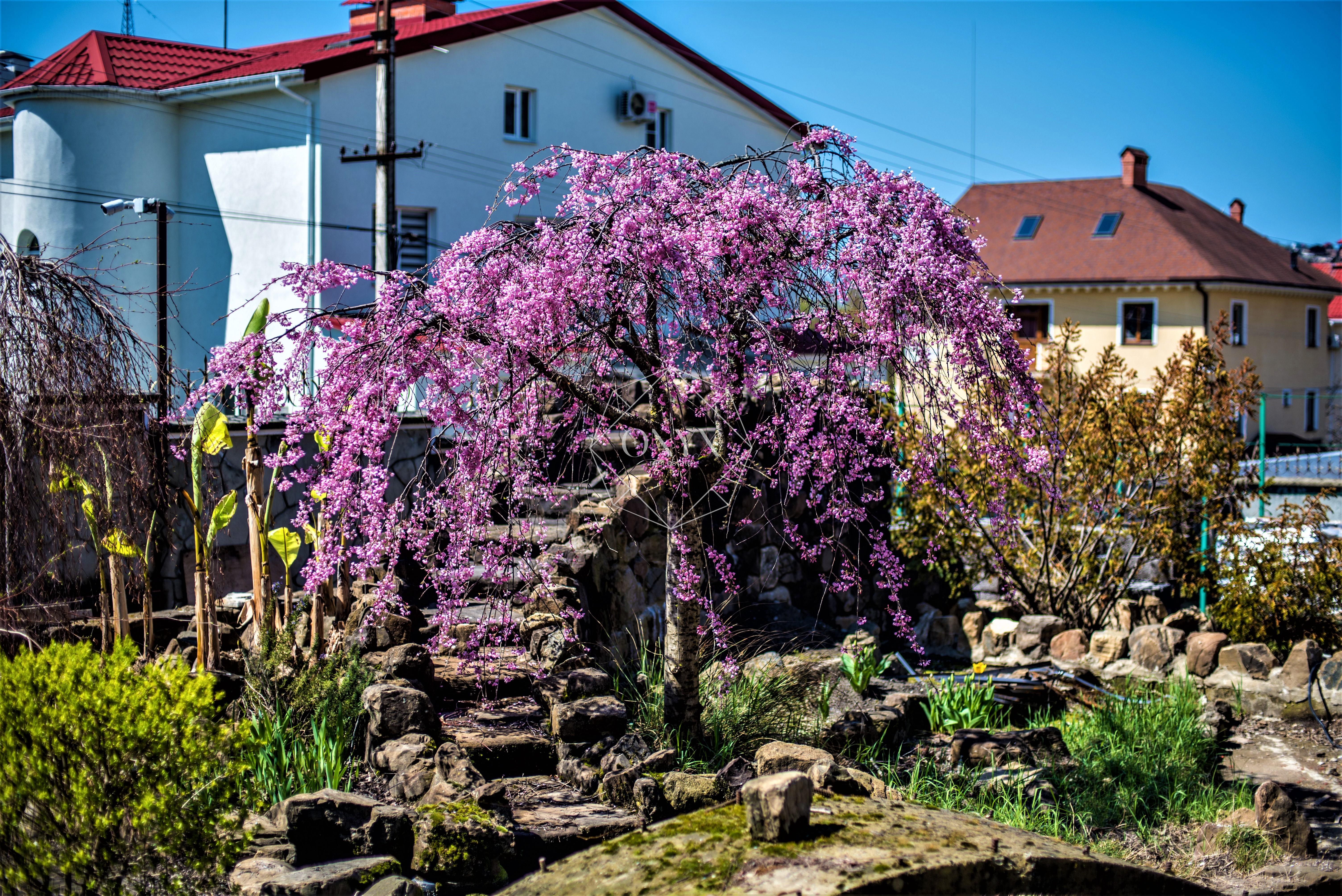 Изображение 63