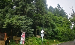 Роскошный участок в Красной Поляне. 