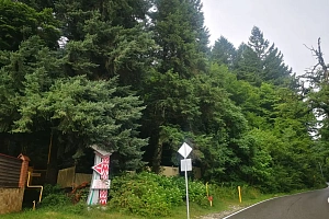 Роскошный участок в Красной Поляне. 