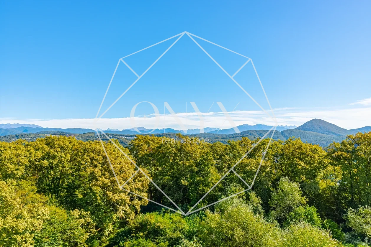 Изображение 17