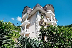 Шикарный дом-дворец