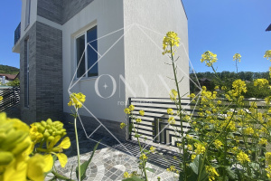 Изображение 14