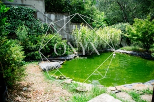 Изображение 8