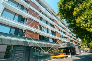 Изображение 12