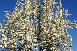 Земельный участок в Лоо