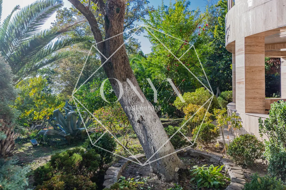 Изображение 8