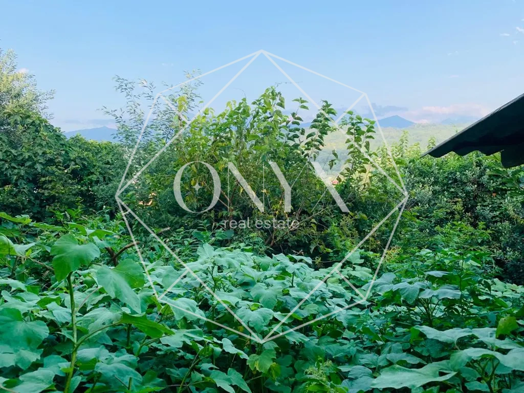 Изображение 20