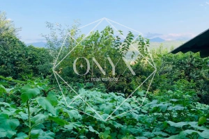 Изображение 20