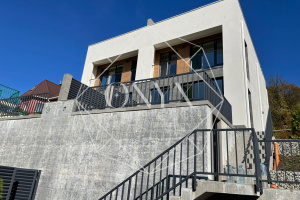 Изображение 12