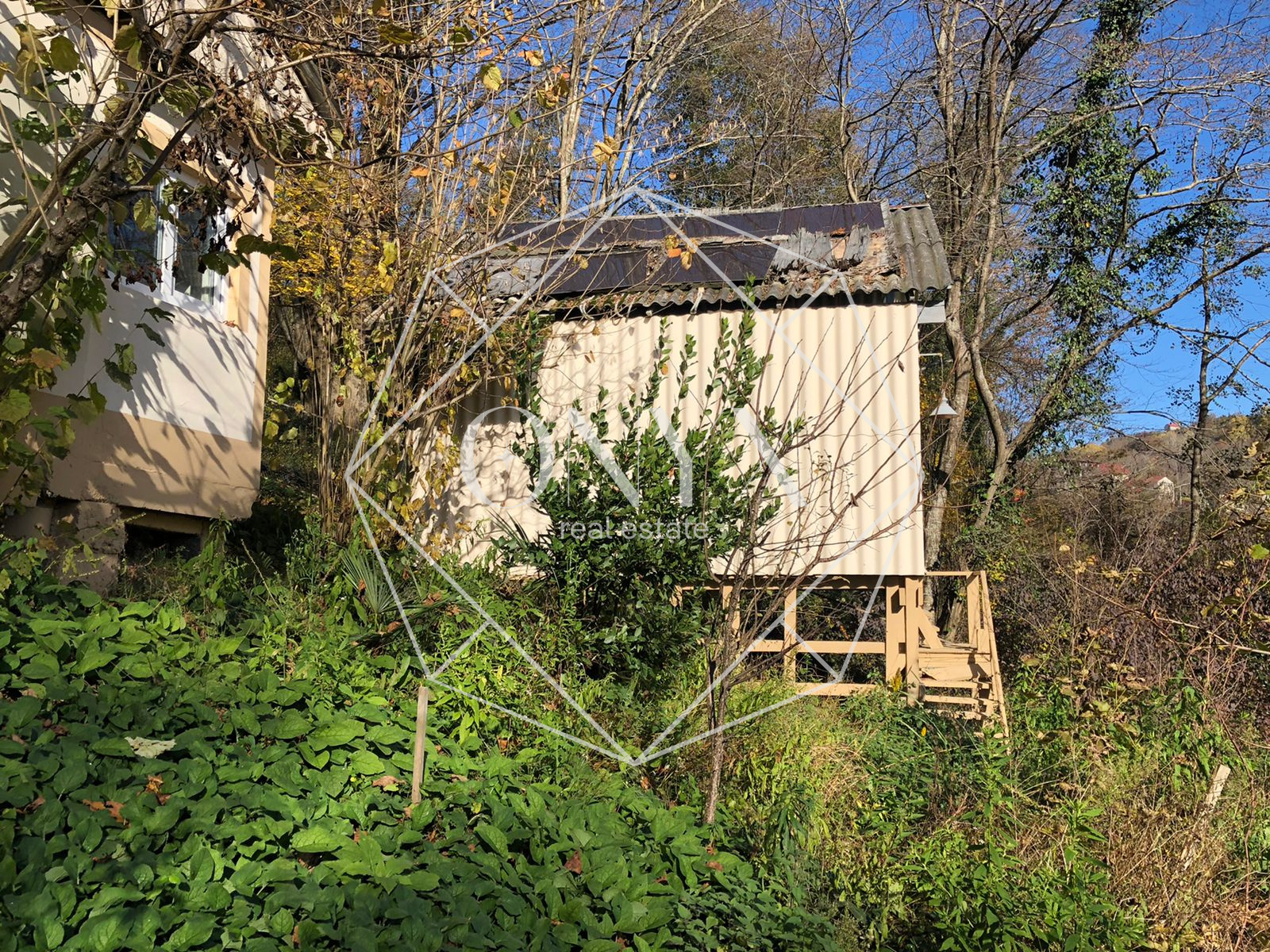 Изображение 19