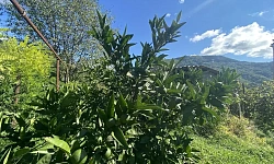 Участок со всеми коммуникациями