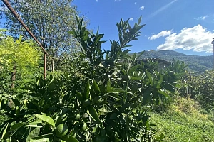 Участок со всеми коммуникациями