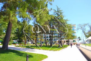 Изображение 12