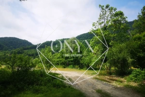 Изображение 25