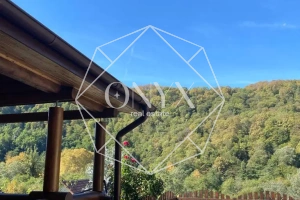 Изображение 18