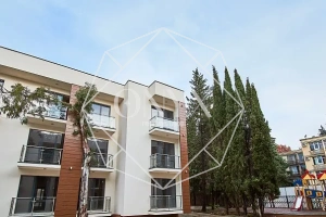 Изображение 8