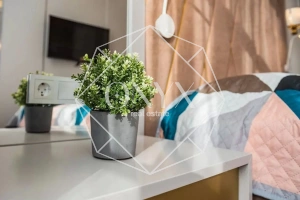 Изображение 12