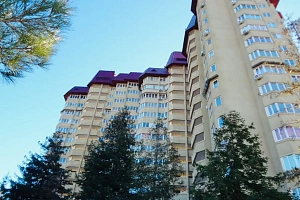 "Панинский дом"