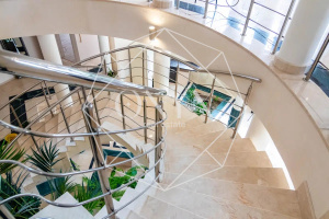 Изображение 12