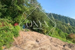 Изображение 9