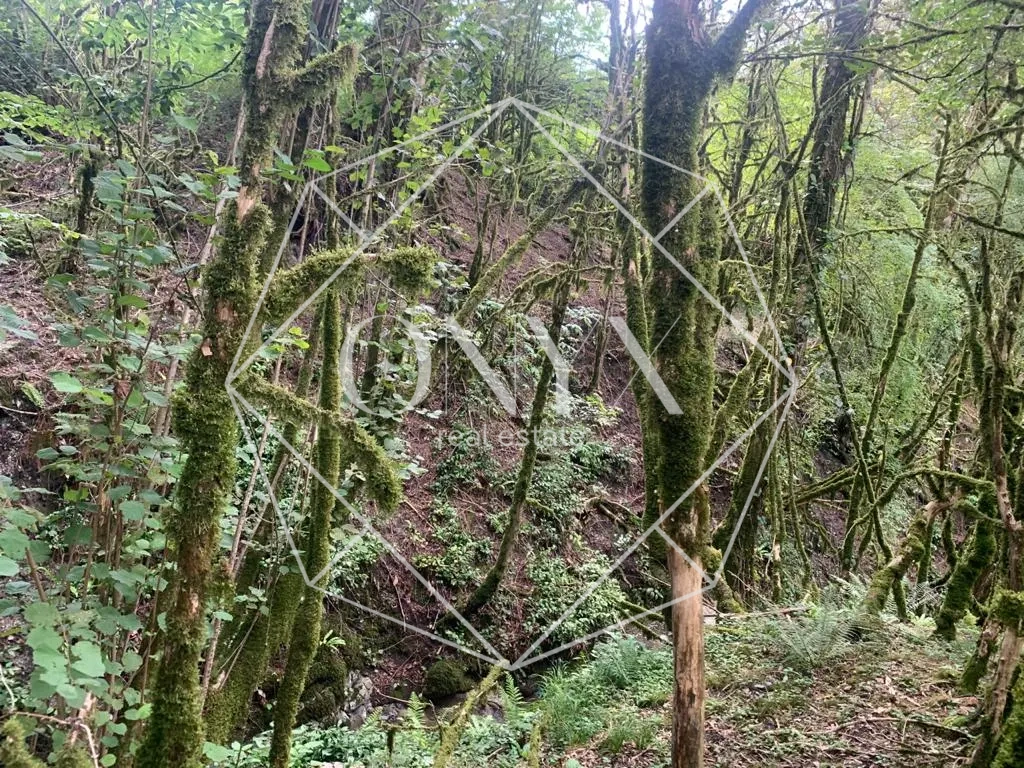 Изображение 18