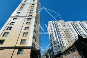 Изображение 8