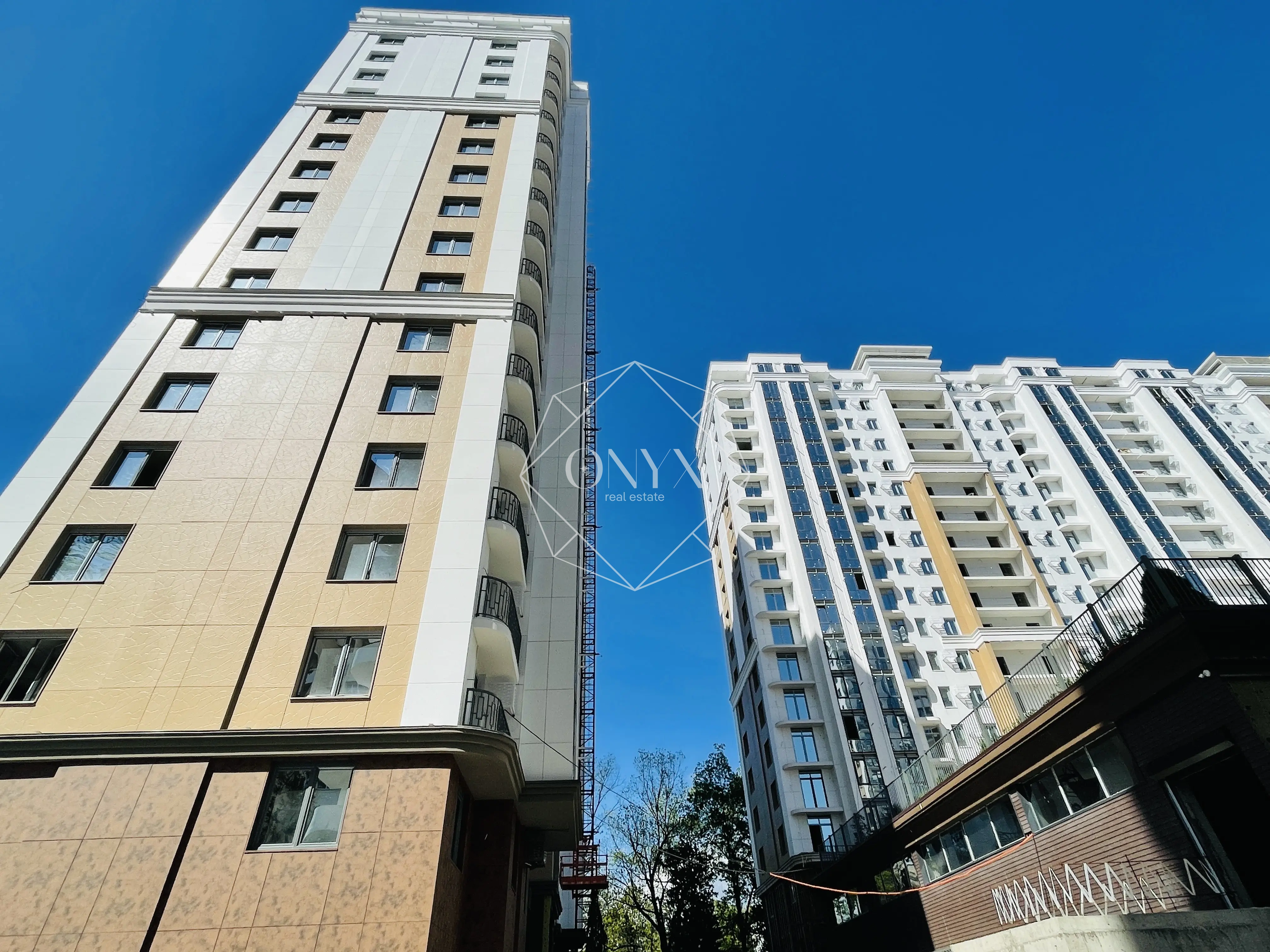 Изображение 8