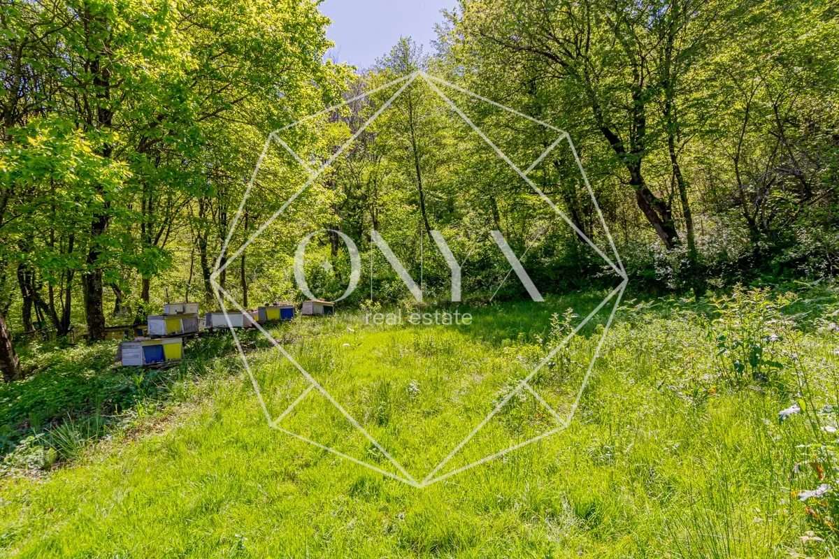 Изображение 11