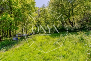 Изображение 11