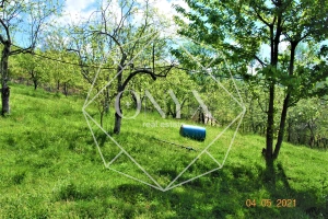 Изображение 7