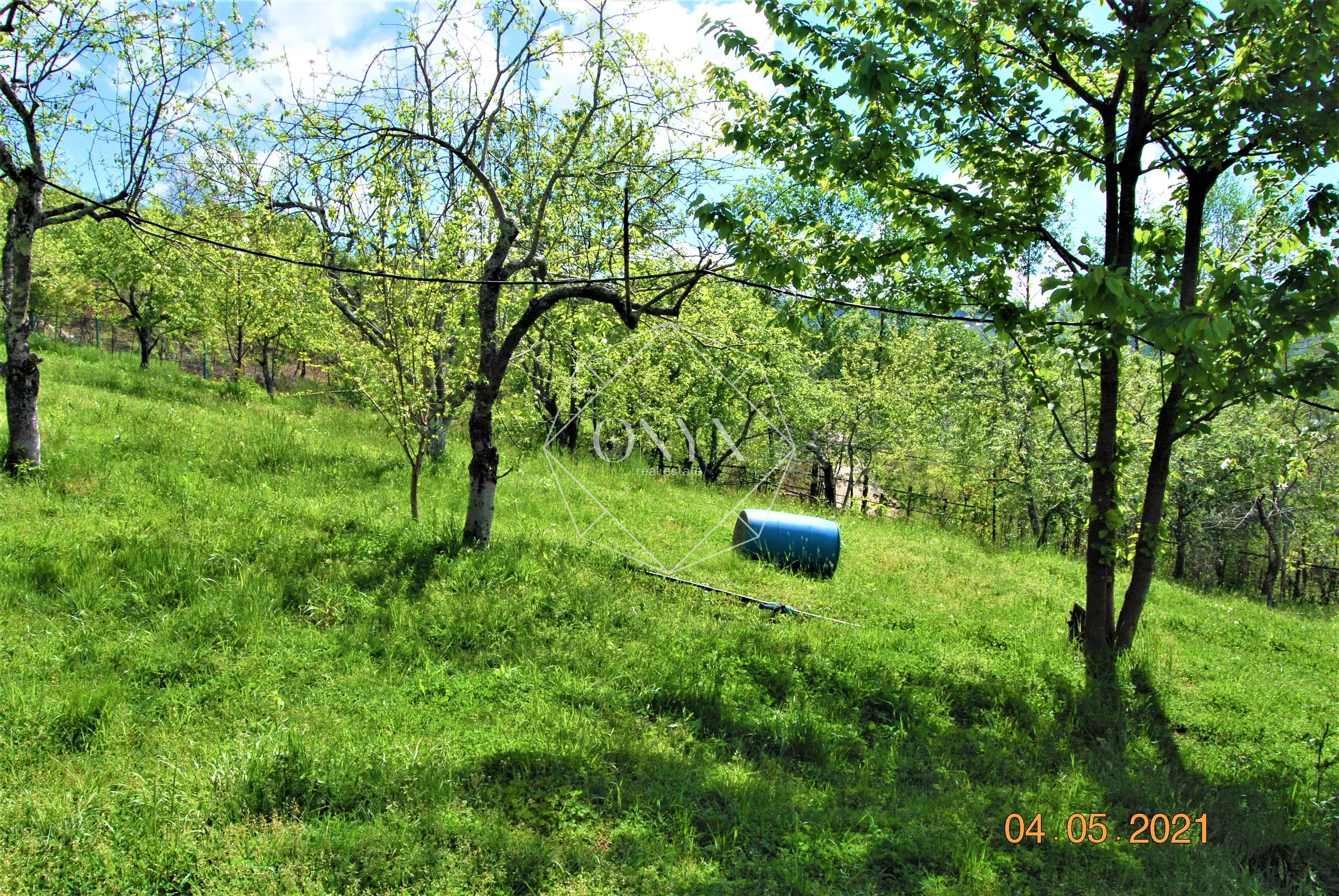 Изображение 7