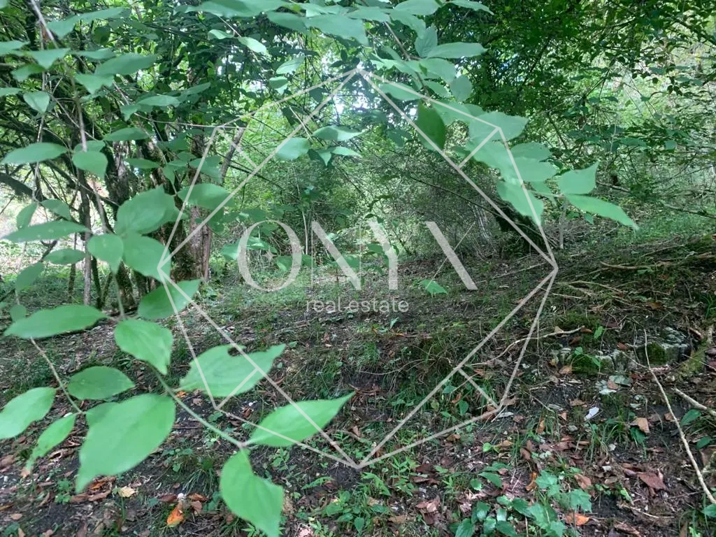 Изображение 17