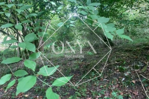 Изображение 17