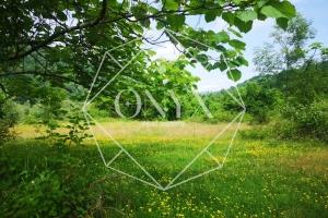 Изображение 14