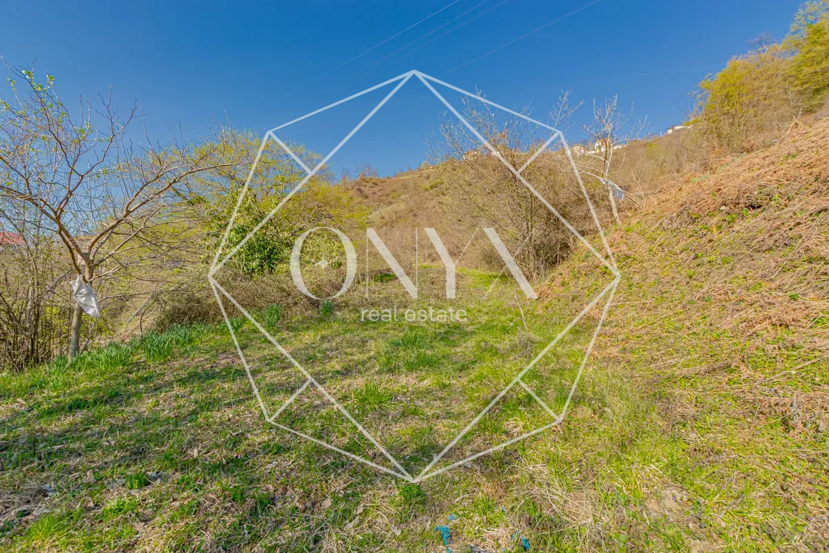 Изображение 8