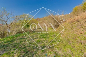 Изображение 8