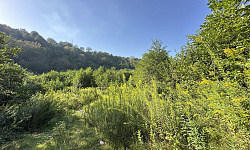 Уникальный участок вашей мечты в заповедном м...