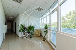 Изображение 17