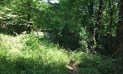 Участок под Элитный Коттеджный поселок