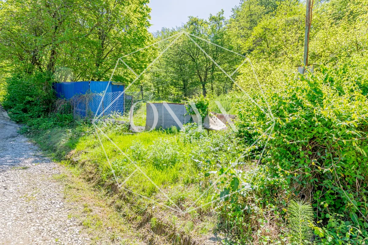 Изображение 16