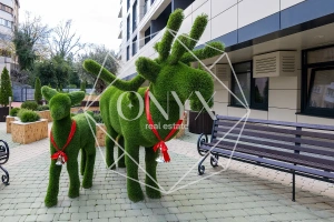 Изображение 42