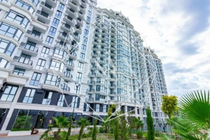 Изображение 8