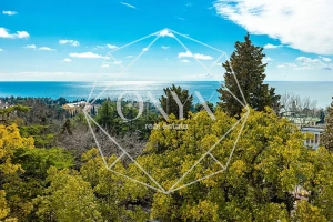 Изображение 12