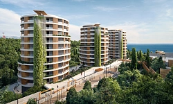 АК Паруса Мечты