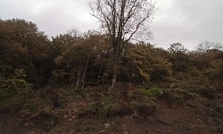 Продаётся земельный участок