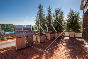 Изображение 19