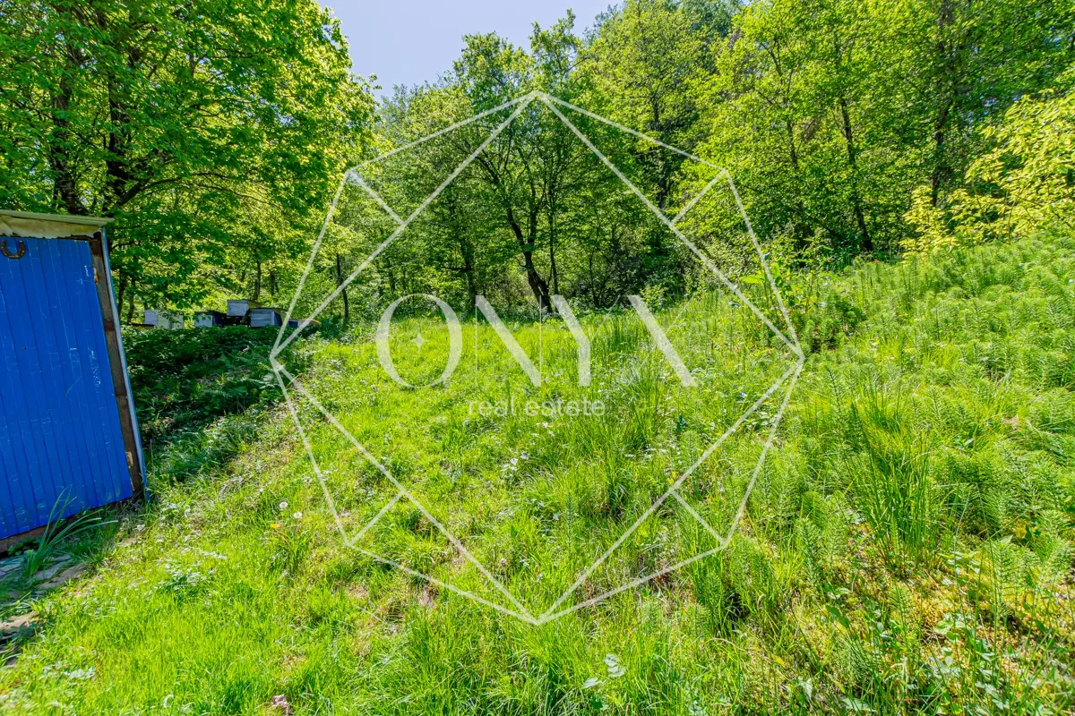 Изображение 14