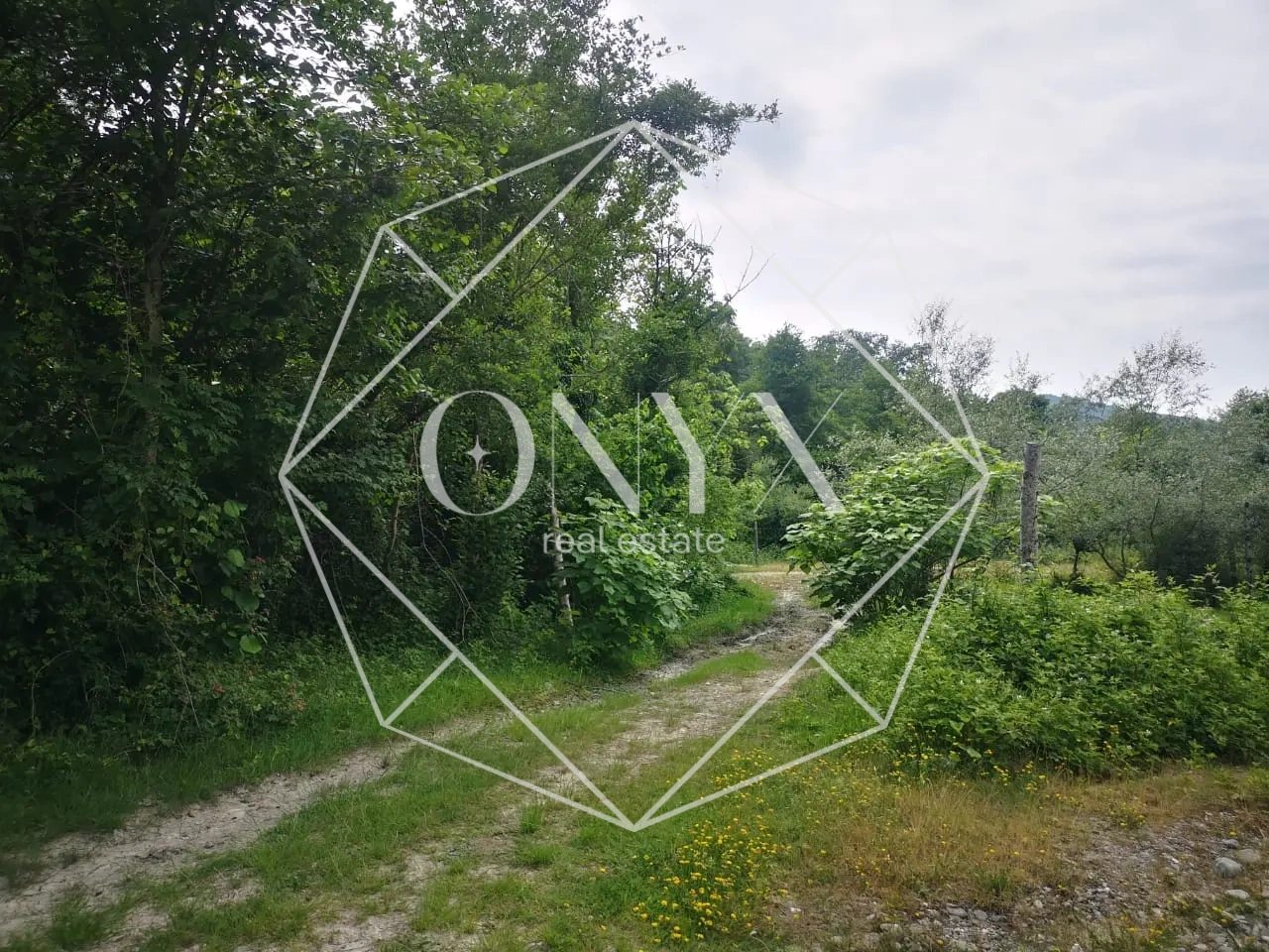 Изображение 12