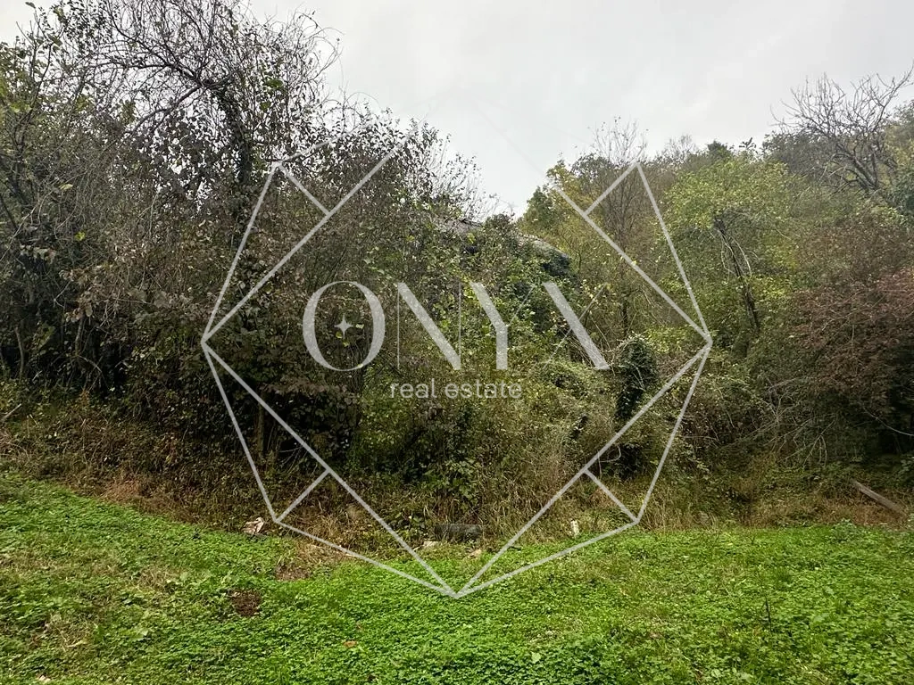 Изображение 10