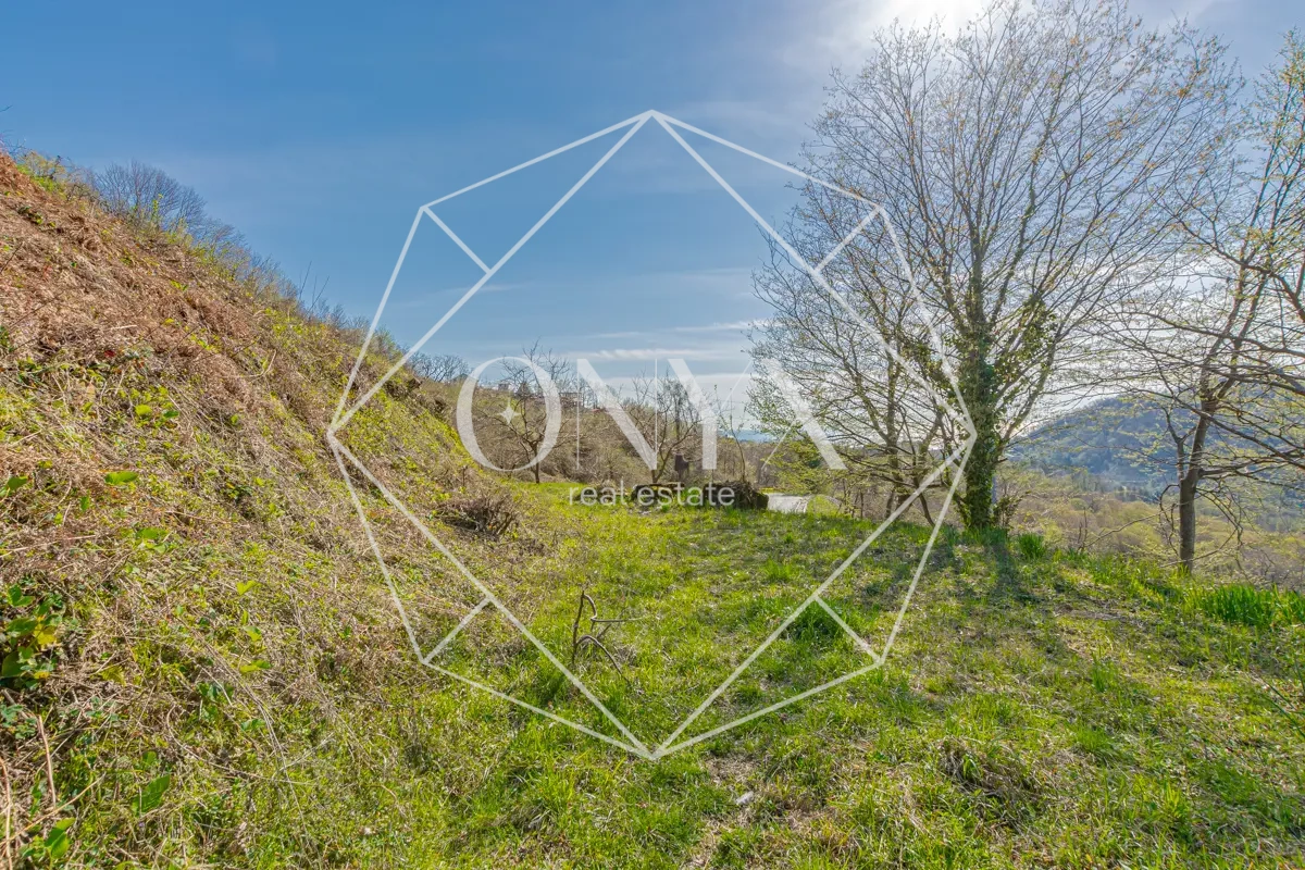 Изображение 9